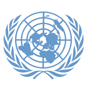 52-я сессия Статистической комиссии ООН
