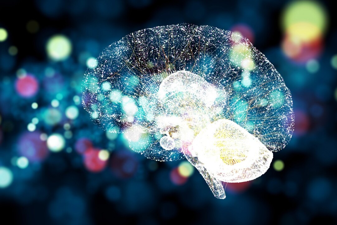 «Устойчивый мозг»: ВШЭ запустила стратпроект по нейрокогнитивным технологиям