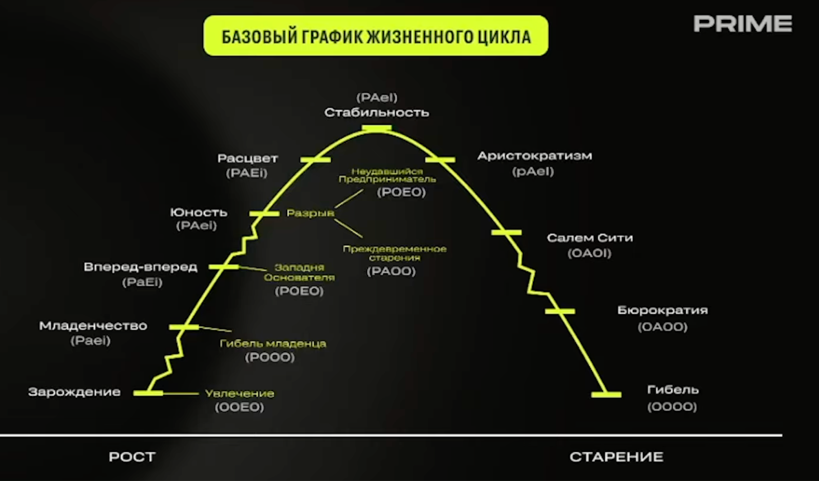 Базовый график жизненного цикла бизнеса в концепции Ицхака Адизеса